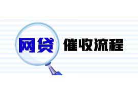 网袋催收电话怎么应对：有效策略与案例分析