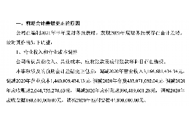 讨债导致工程停工：探讨债务纠纷对工程项目的影响