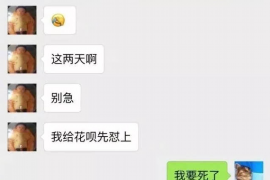 追讨债务砸车行为定性：法律视角下的探讨