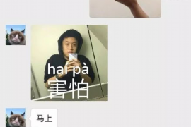 蛮不讲理的人讨债：如何应对与法律维权