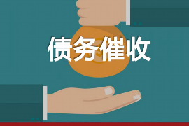 高明清数公司收费标准解析：透明化、合理化的价格体系