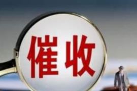 贷款买车怎么催收：有效策略与案例分析