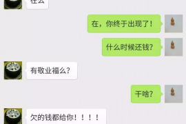 耒阳催收公司哪里找？专业机构助您解决债务难题