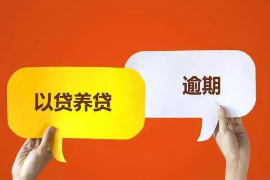 莫娜躲讨债人技能卡点：揭秘债务危机中的生存技巧
