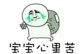雇佣黑社会讨债：风险与法律后果
