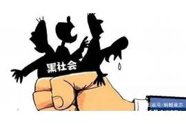 顺德清数公司联系方式