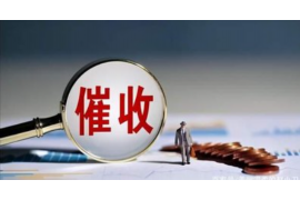 陇南清债公司联系方式：一站式债务解决方案