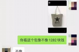 邮储银行催收客服工作：专业与温暖的结合