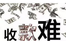 长丰要钱公司收费标准揭秘：透明化服务，让您明白消费