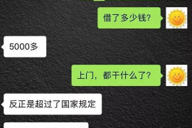 闪电借款催收案件：解析法律风险与应对策略