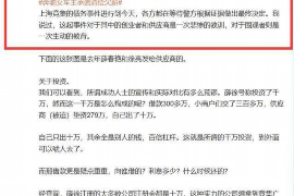 龙翌讨债：上门催收的真实情况及应对策略