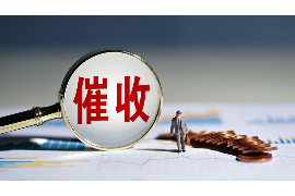金信催收是什么？揭秘债务催收领域的专业力量