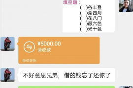 马上金融催收部：揭秘金融借款催收的规范与技巧